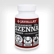 Alexandriai szenna termés