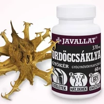 Javallat Ördögcsáklya gyökér