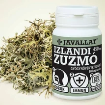 Javallat Izlandi zuzmó