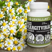 Javallat Őszi margitvirág herba