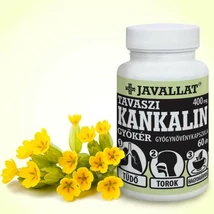 Javallat Tavaszi kankalin gyökér