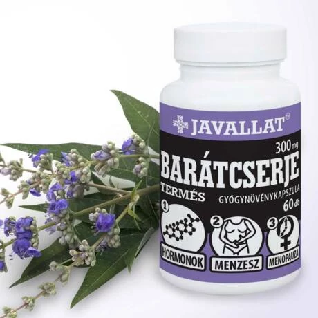 Javallat Barátcserje termés