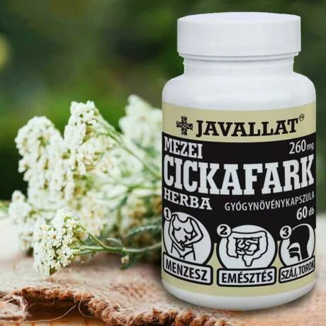 Javallat Mezei cickafark herba