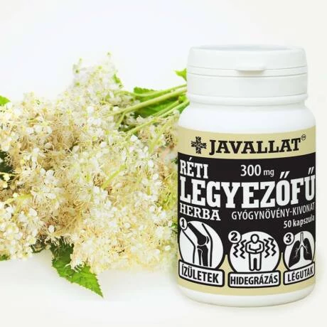 Javallat Réti legyezőfű herba