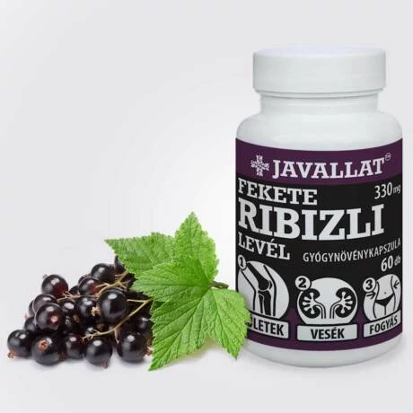 Javallat Fekete ribizli levél