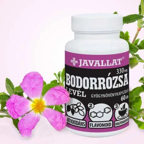 Javallat Bodorrózsa levél