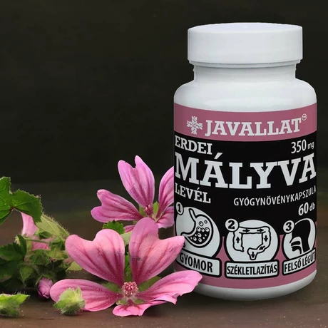 Javallat Erdei mályva levél